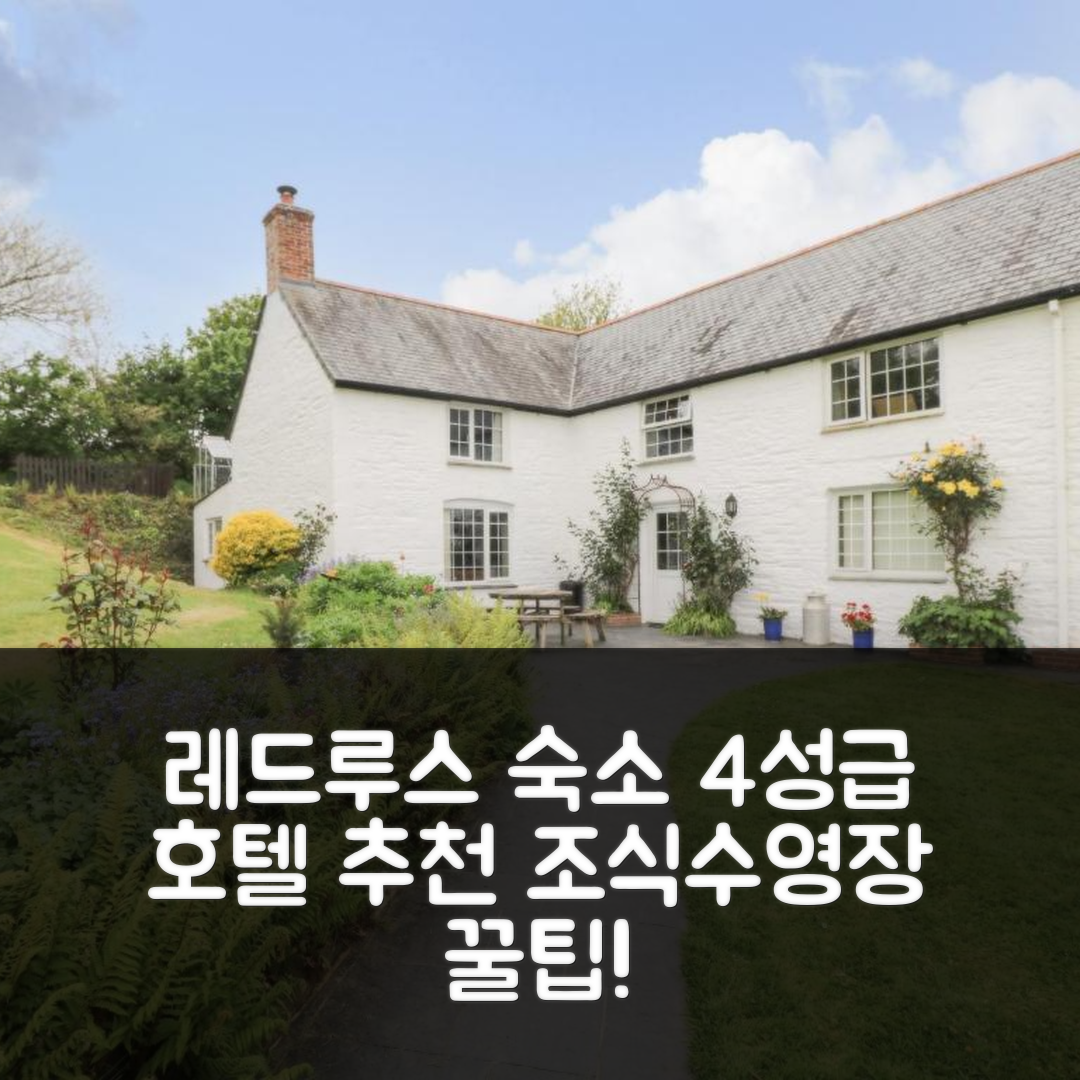 레드루스 숙소 여행 호텔 추천 위탄 팜 윙 호텔 | 가성비 뛰어난 4성급 조식과 수영장 예약 팁 6가지