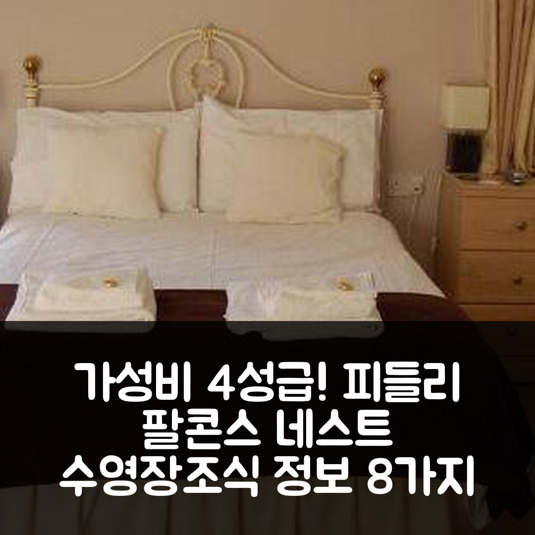 피들리 숙소 여행 호텔 추천 팔콘스 네스트 | 가성비 뛰어난 4성급 수영장과 조식 정보 8가지