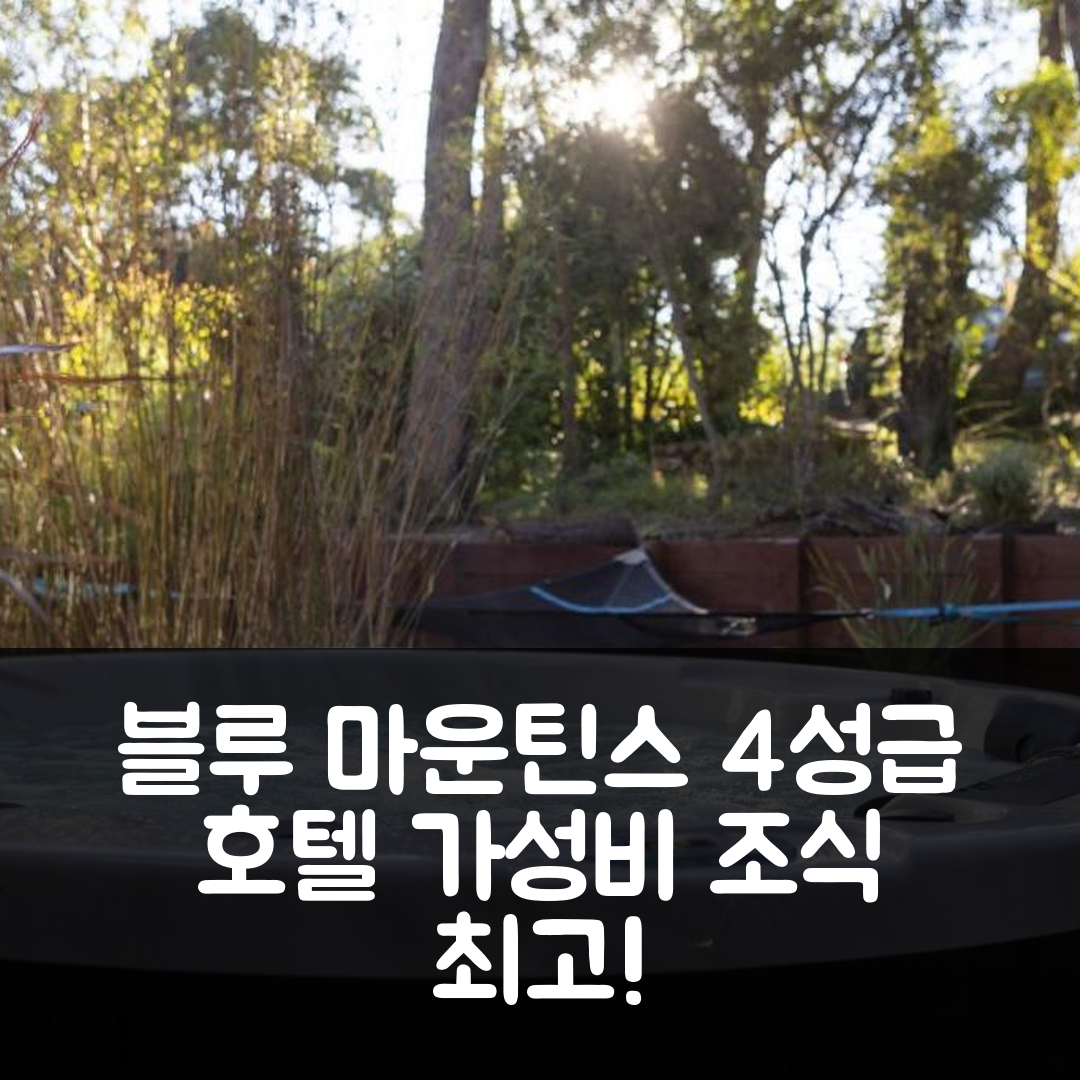 블루 마운틴스 숙소 여행 호텔 추천 더 로지 블랙히스 | 4성급 가성비 조식과 위치가 뛰어난 7가지 이유