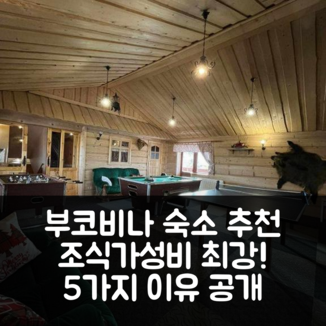 부코비나 타찬스카 숙소 여행 호텔 추천 미스 포코예 고신느 | 조식과 가성비 뛰어난 5가지 이유