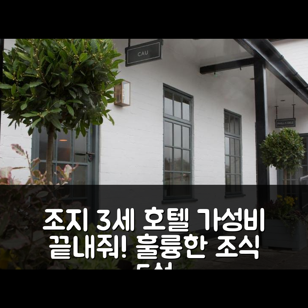 도젤라우 숙소 여행 호텔 추천 조지 3세 호텔 | 가성비와 조식 훌륭한 5가지 이유