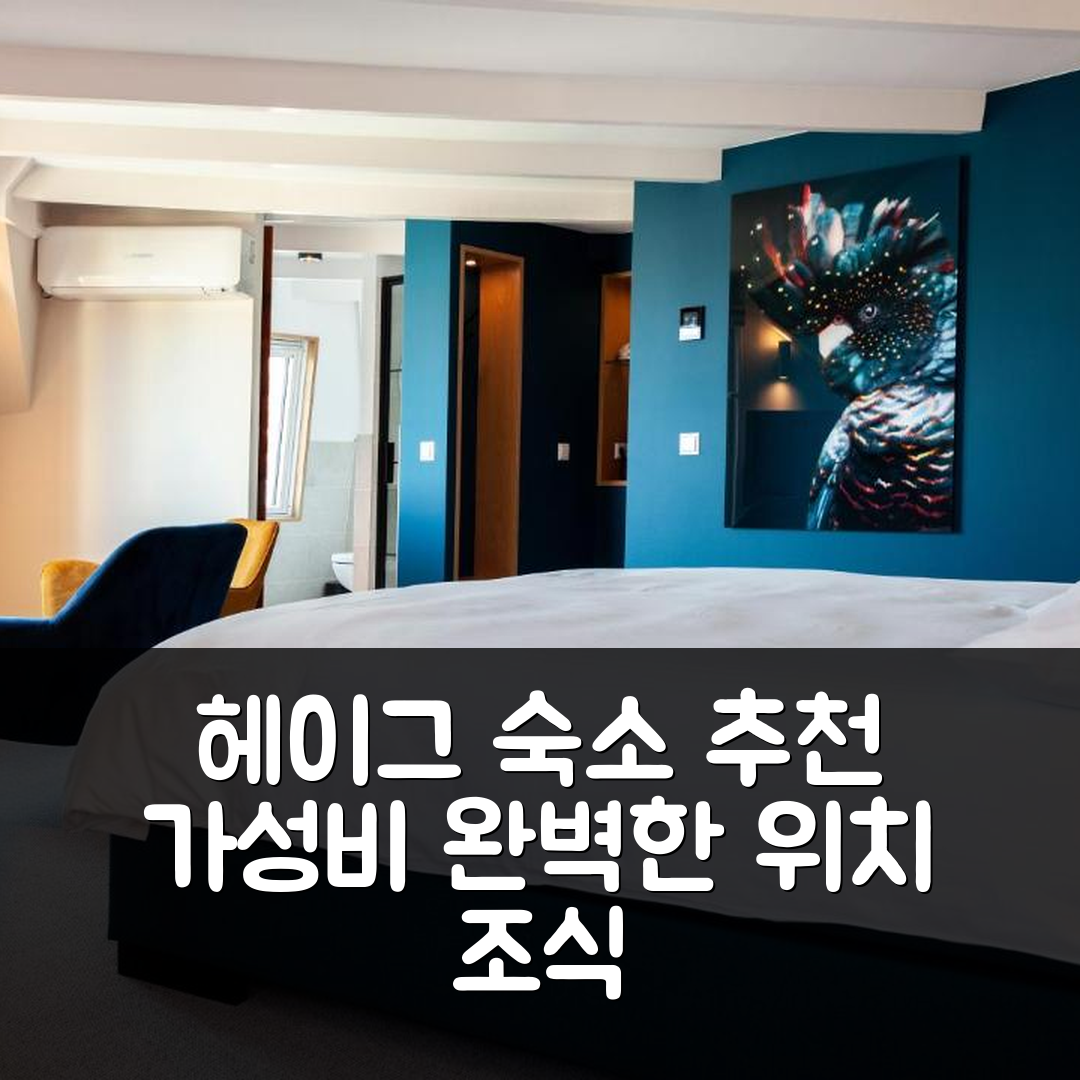 헤이그 숙소 여행 호텔 추천 라 파울로우나 부티크 호텔 | 4성급 가성비와 조식, 완벽한 위치 7가지 팁