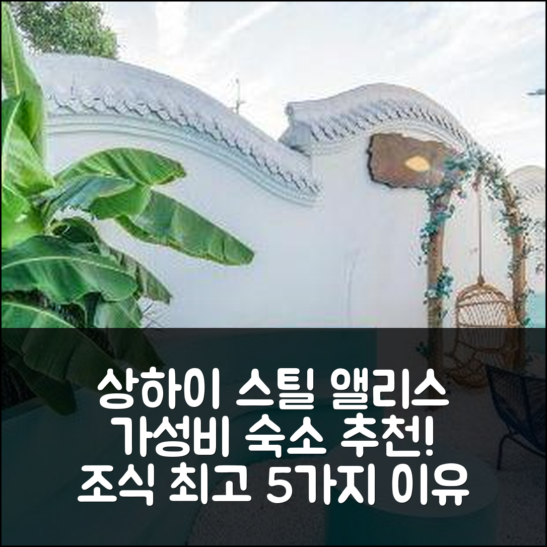 상하이 숙소 여행 호텔 추천 스틸 앨리스 부티크 호스텔 | 가성비와 조식이 뛰어난 5가지 이유