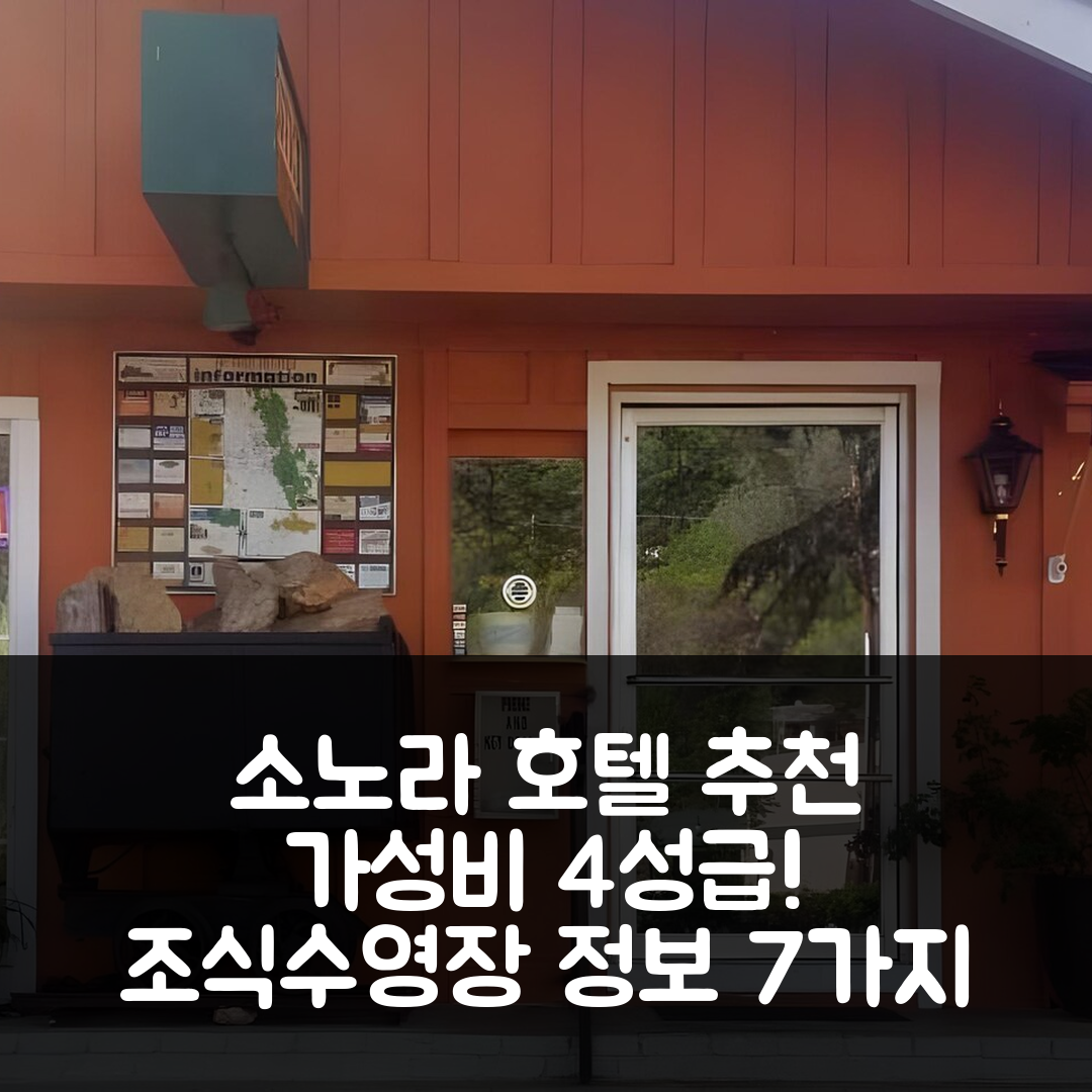 소노라 숙소 여행 호텔 추천 소노라 골드 로지 | 가성비 뛰어난 4성급 조식과 수영장 정보 7가지
