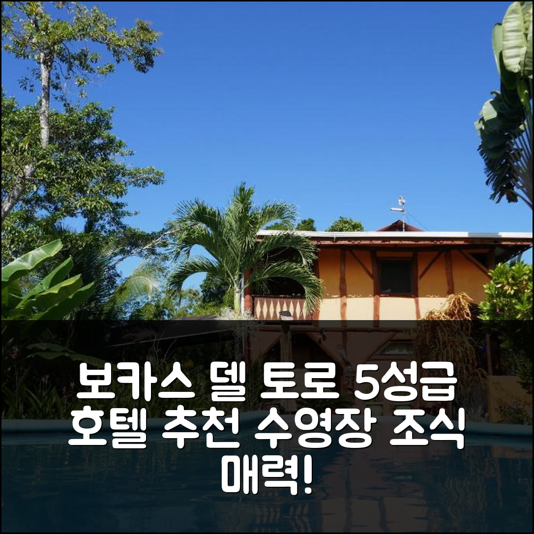 보카스 델 토로 숙소 여행 호텔 추천 샤를레 뜨로피칼 | 5성급 조식과 수영장이 매력적인 이유 6가지