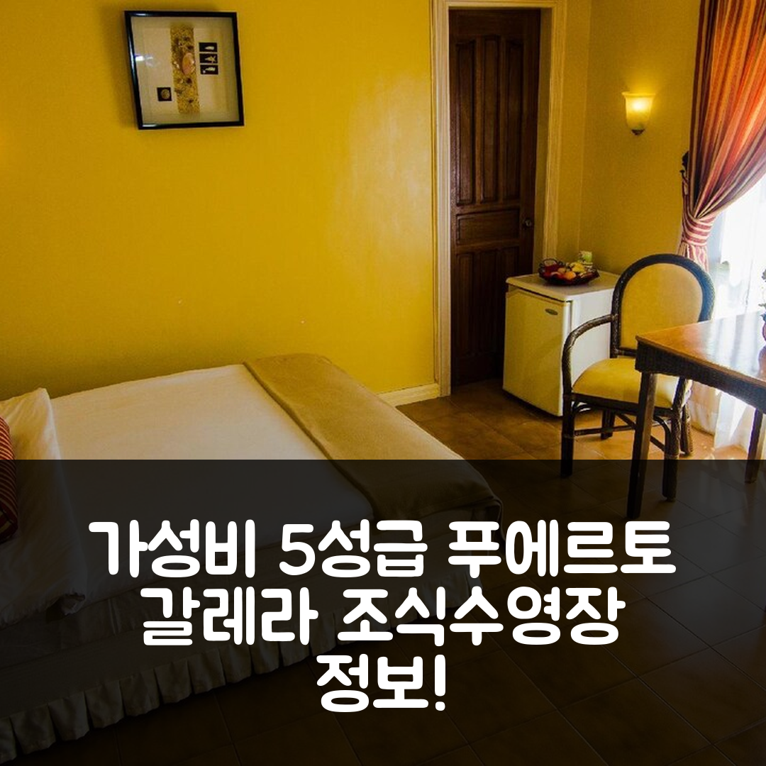 푸에르토 갈레라 숙소 여행 호텔 추천 마르코 빈센트 다이브 리조트 | 가성비 좋은 5성급 조식과 수영장 정보 7가지