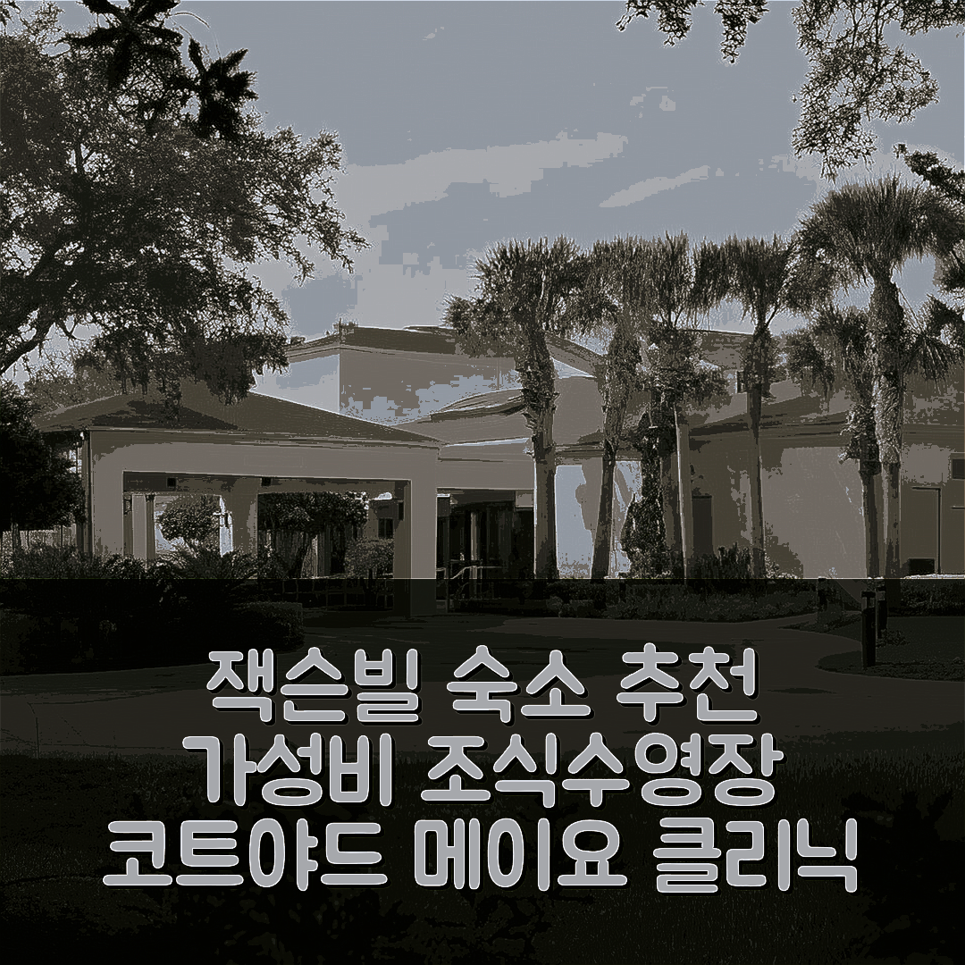 잭슨빌 숙소 여행 호텔 추천 코트야드 메이요 클리닉 비치 | 가성비 뛰어난 조식과 수영장 정보 7가지
