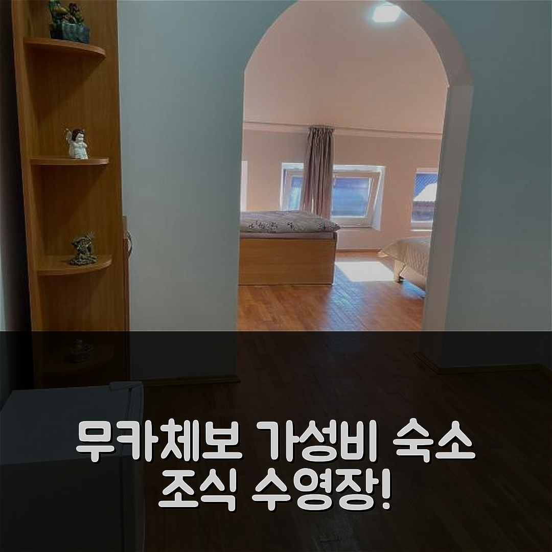 무카체보 숙소 여행 호텔 추천 다니엘 호텔 | 가성비와 조식이 뛰어난 5가지 이유와 수영장 정보