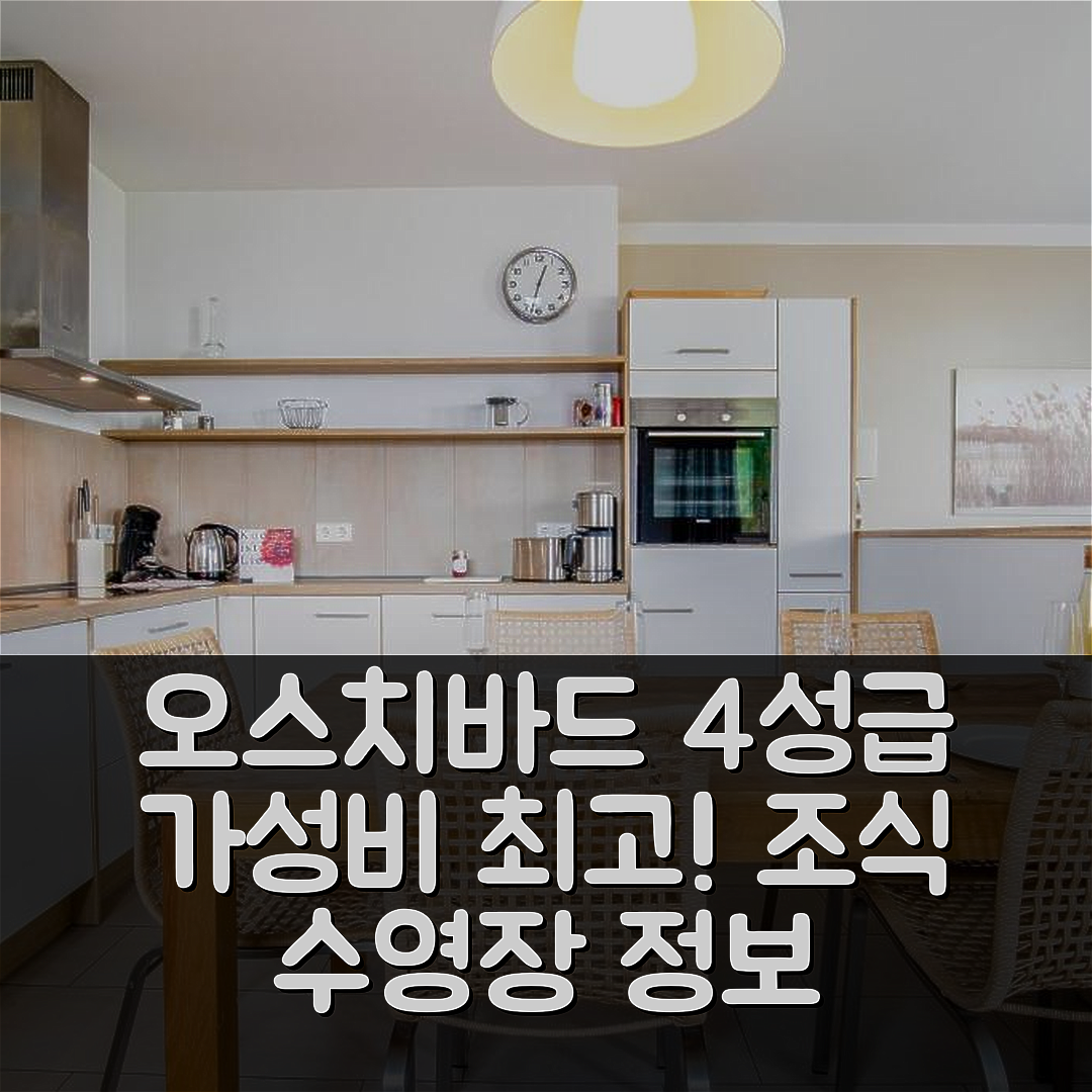 오스치바드 셀린 숙소 여행 호텔 추천 다이 스트란드하우저 빈드플루흐터 | 가성비 좋은 4성급 조식과 수영장 정보 5가지