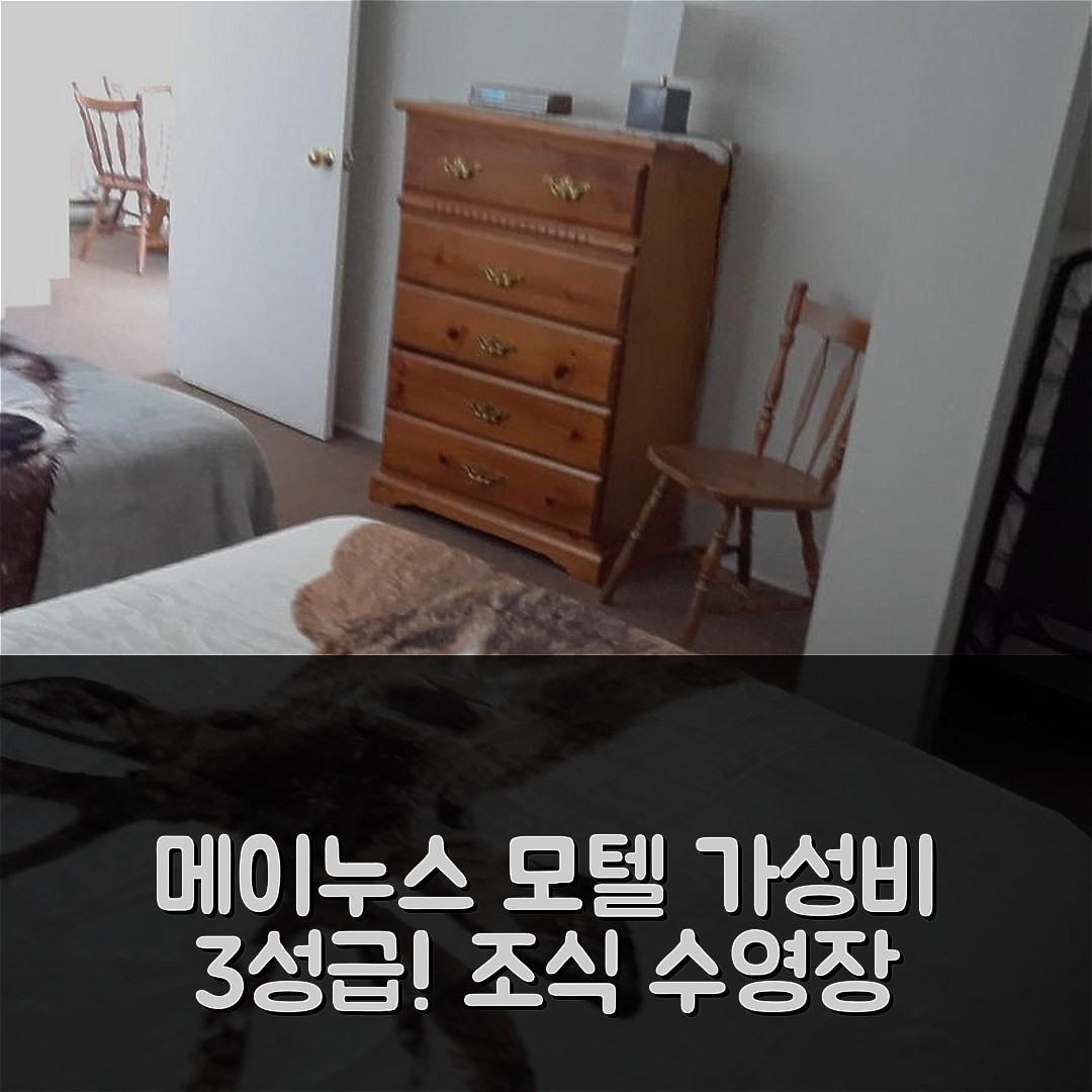 메이누스 숙소 여행 호텔 추천 마운틴 뷰 모텔 | 가성비 뛰어난 3성급 조식 및 수영장 정보 6가지