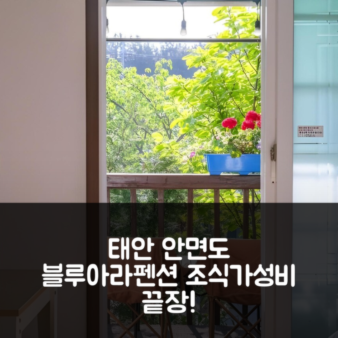 태안 숙소 여행 호텔 추천 태안 안면도 블루아라펜션 | 조식과 가성비 뛰어난 5가지 매력 포인트
