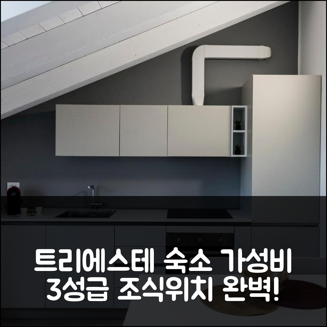 트리에스테 숙소 여행 호텔 추천 파두이나3 컴포트 아파트 | 가성비 뛰어난 3성급 조식과 위치 정보 7가지
