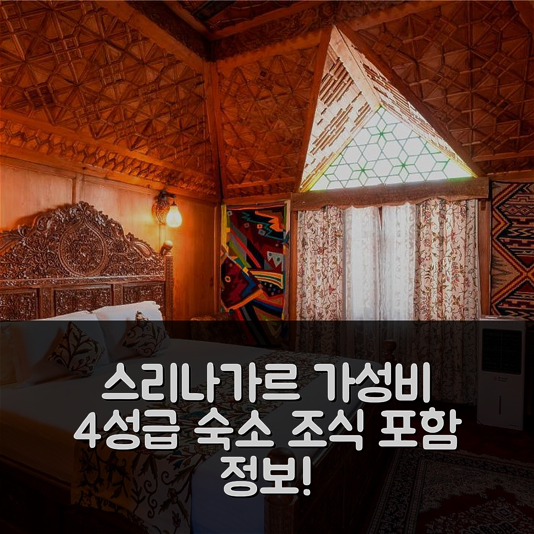 스리나가르 숙소 여행 호텔 추천 뉴 재클린 헤리티지 하우스보츠 | 가성비 뛰어난 4성급 위치 및 조식 정보 5가지