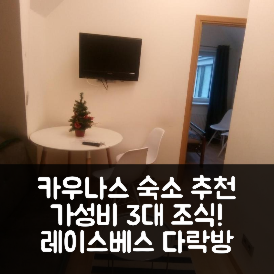 카우나스 숙소 여행 호텔 추천 레이스베스 에비뉴의 다락방 | 가성비 뛰어난 3대 조식과 위치 정보 7가지