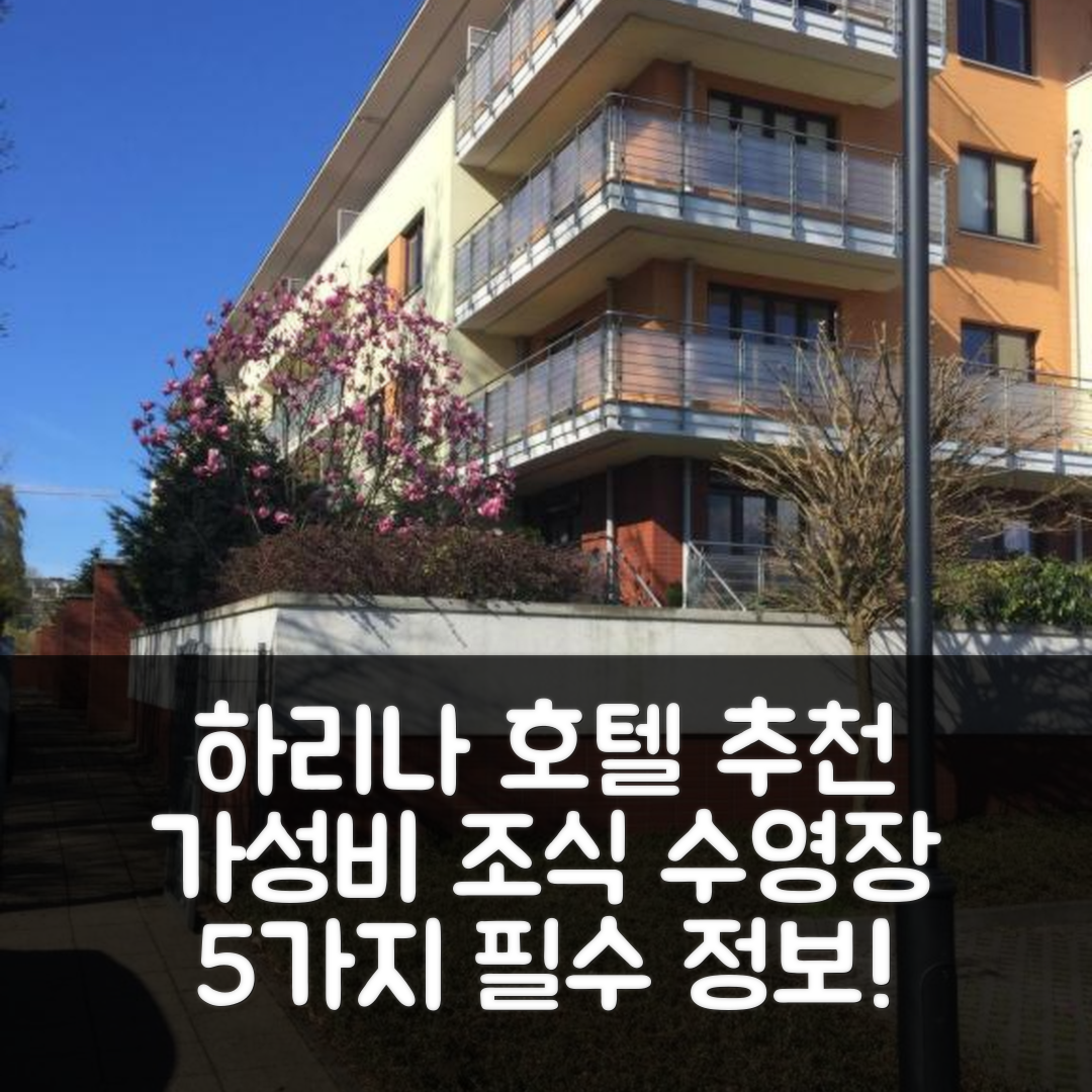 콜로브레크 숙소 여행 하리나 호텔 추천 아파트 하리나 | 가성비 뛰어난 조식과 수영장 정보 5가지
