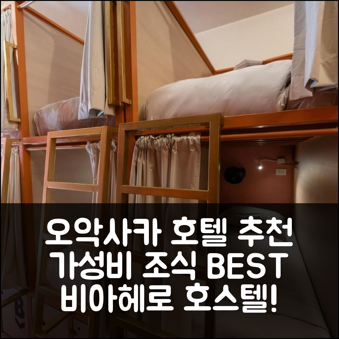 오악사카 숙소 여행 호텔 추천 비아헤로 오악사카 호스텔 | 가성비 최고의 조식과 추천 위치 5가지