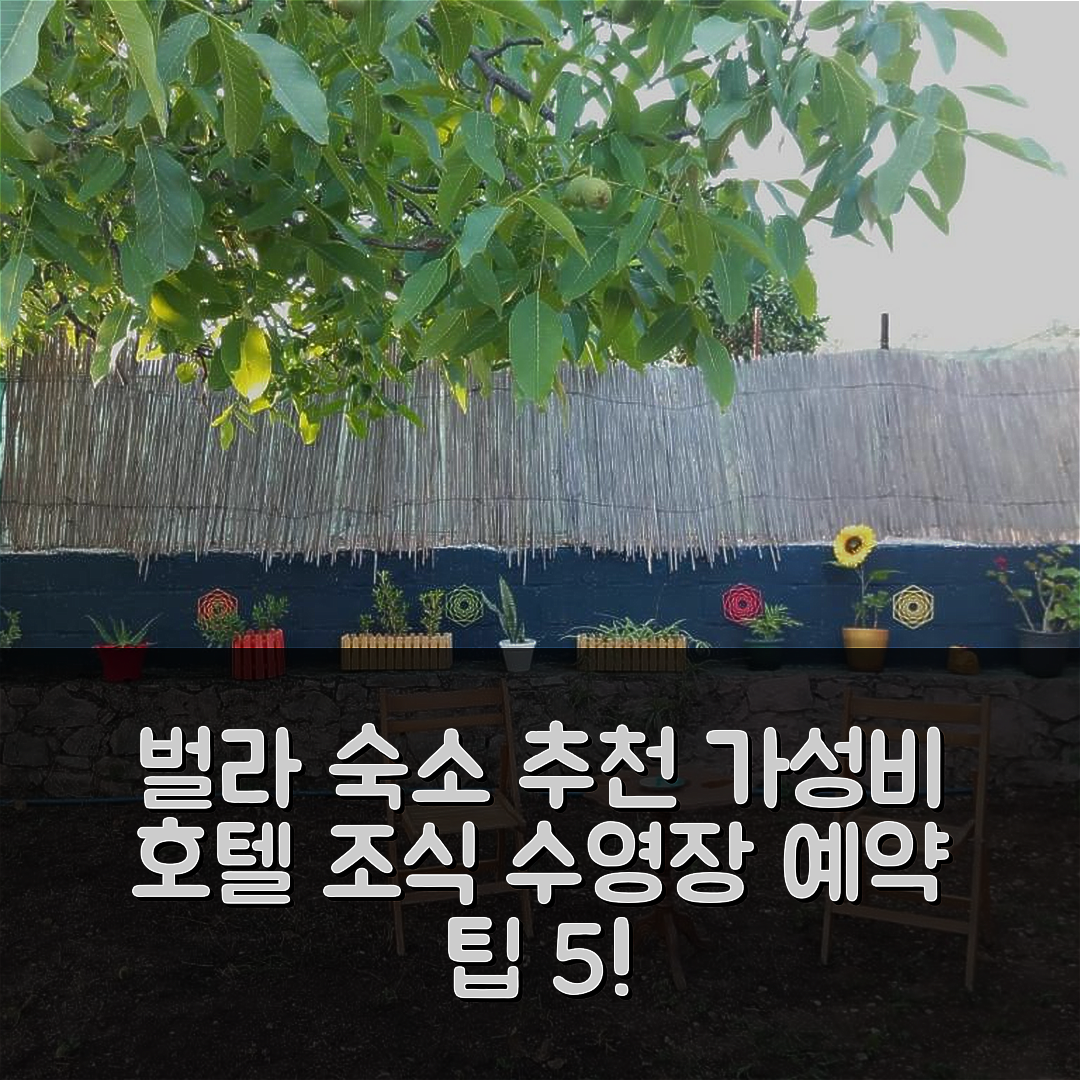 벌라 숙소 여행 호텔 추천 비라 조카 호텔 | 가성비 뛰어난 조식과 수영장 예약 팁 5가지