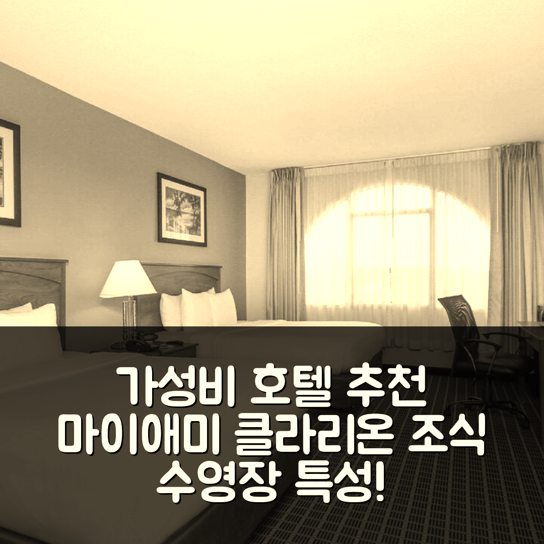 마이애미 숙소 여행 호텔 추천 클라리온 인 앤 스위트 마이애미 인터내셔널 에어포트 | 가성비 좋은 5가지 조식과 수영장 특징