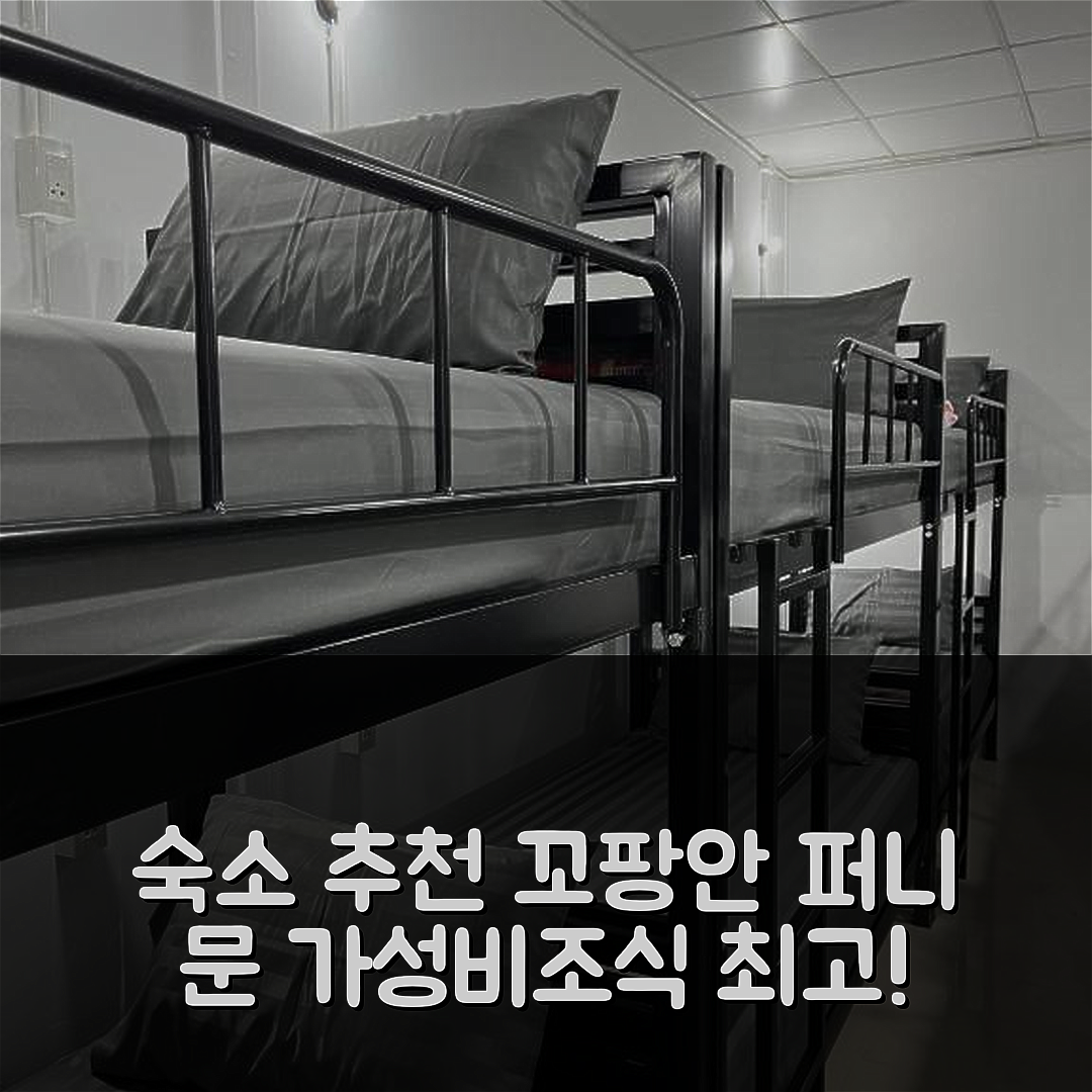 꼬팡안 숙소 여행 호텔 추천 퍼니 문 호스텔 | 가성비와 조식이 훌륭한 5가지 이유
